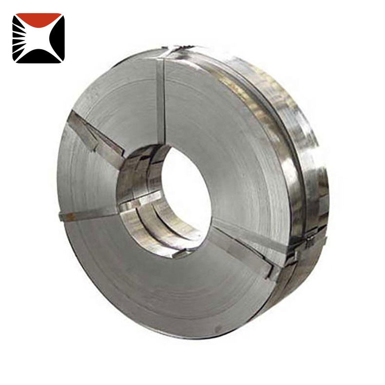 310 Stainless Strip