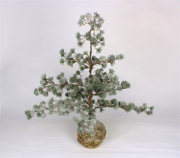 Cedar Trees with Moss Base