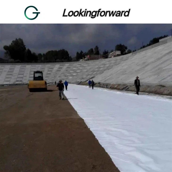 Woven Geotextile