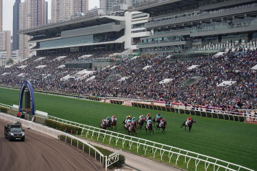 What Are The Advantages Of Using Non-woven Geotextiles On The Horse Racecourse Surface?