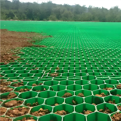 Selection and Construction of Grass Pavers