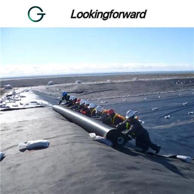 PVC Geomembrana Installation Process: From Subgrade Preparation to Final Acceptance
