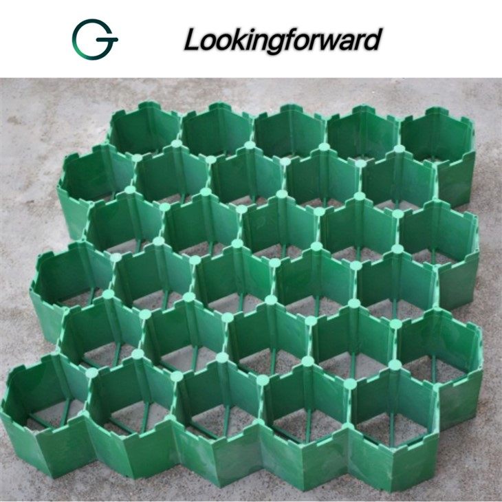 Grass Grid Pavers