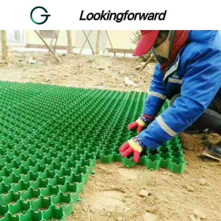 Grass Grid Pavers