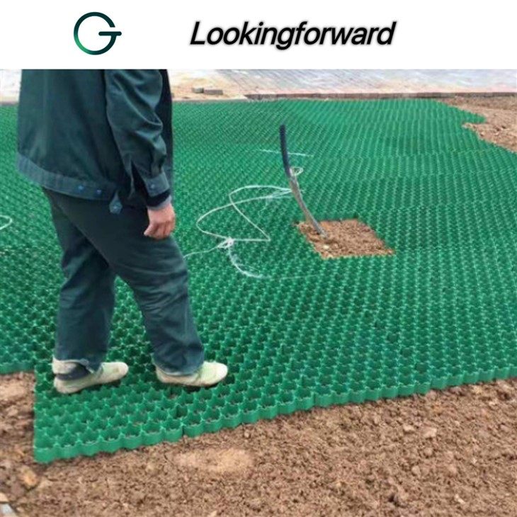 Grass Grid Pavers