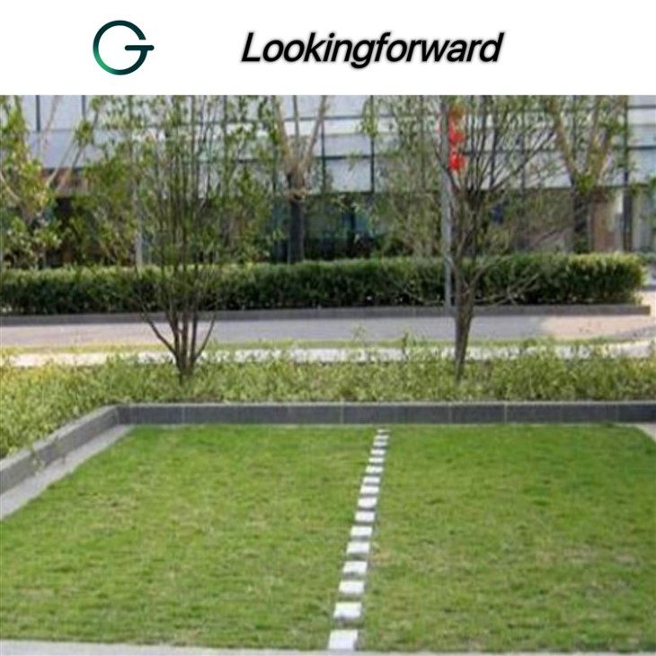 Grass Parking Grid