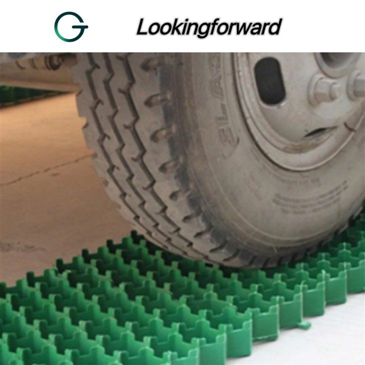 Grass Parking Grid