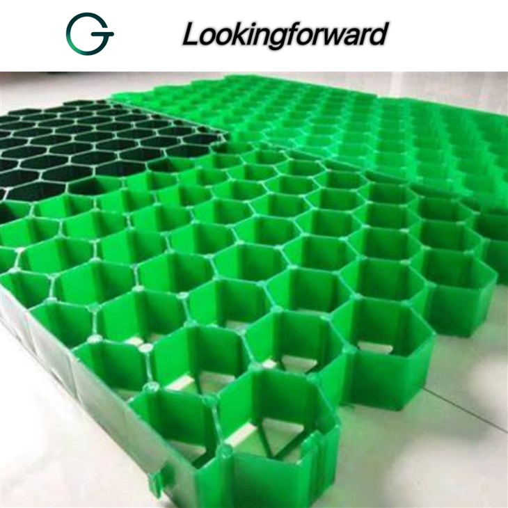 Grass Parking Grid