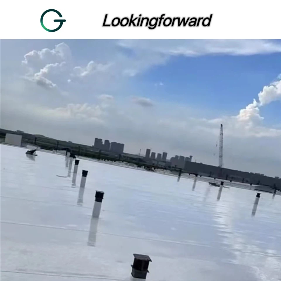 PVC Waterproofing Membrane