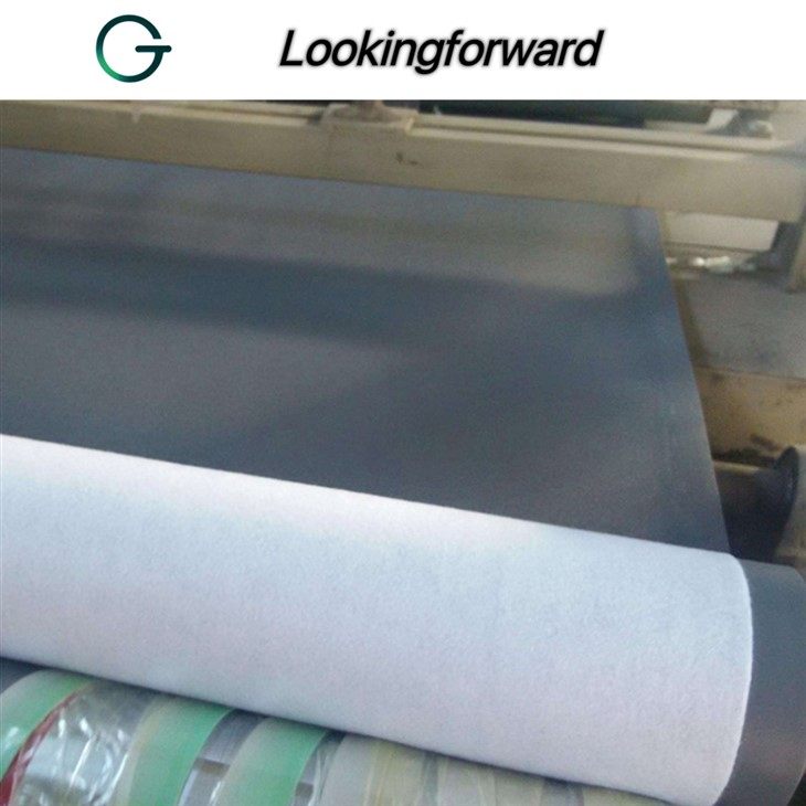 TPO Waterproofing Membrane