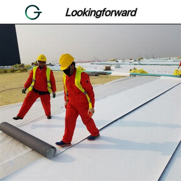 TPO Waterproofing Membrane