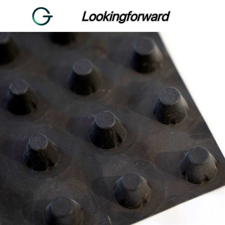 Plastic Drainage Board