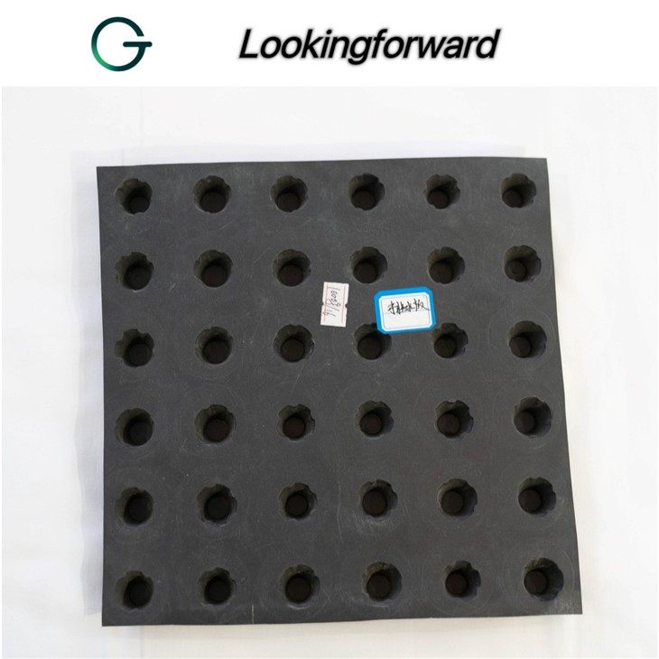 Plastic Drainage Board