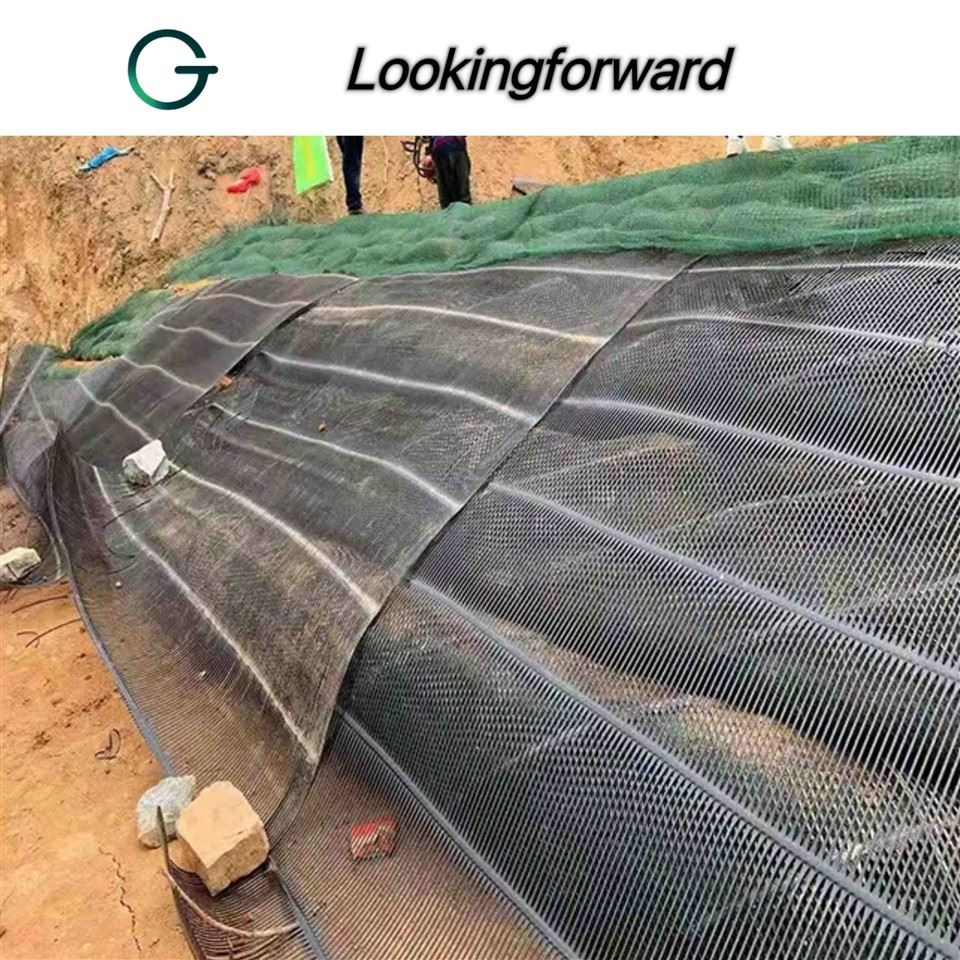 Biaxial Geogrid