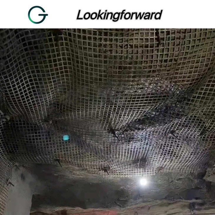 Geogrid Mesh