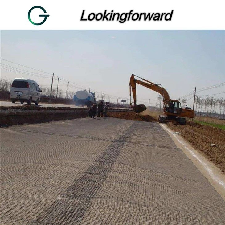 Geogrid Mesh