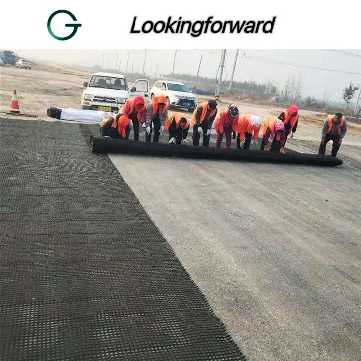 Geogrid Mesh