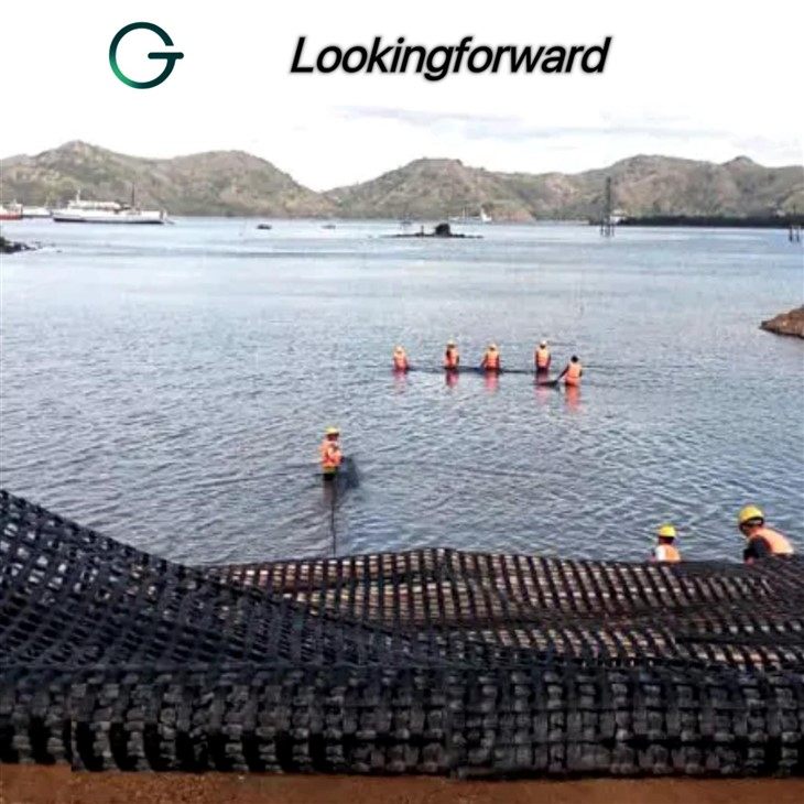 Geogrid Mesh