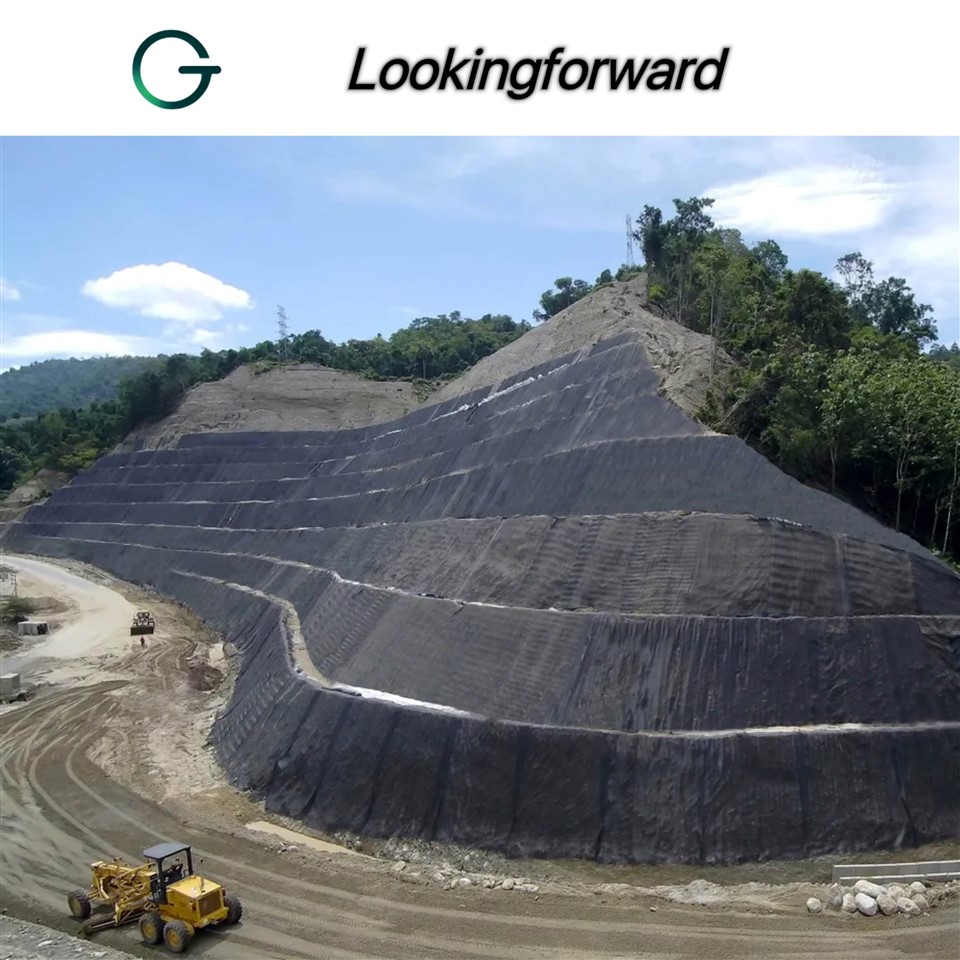 Geogrid Mesh