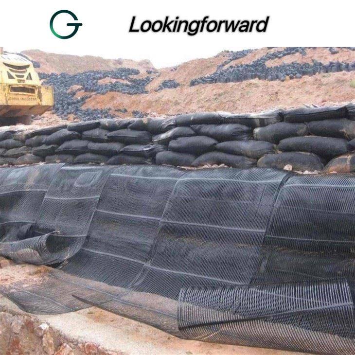 Geogrid for Road Construction