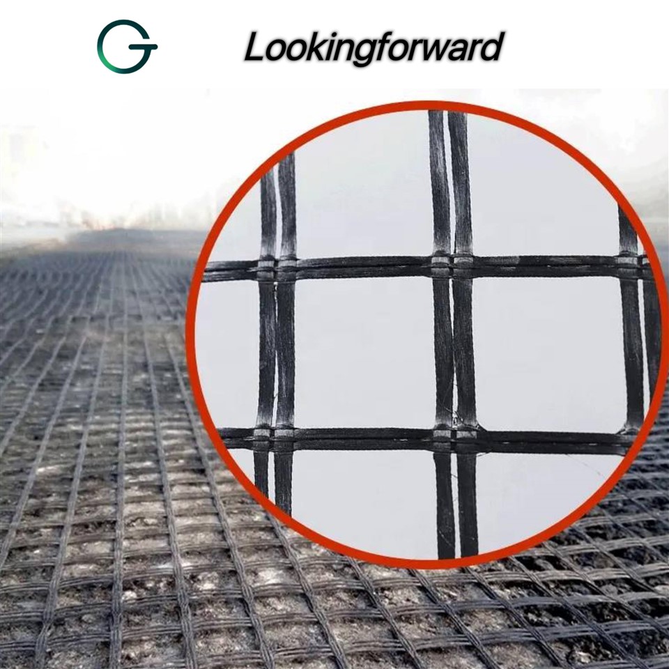 Geogrid for Road Construction