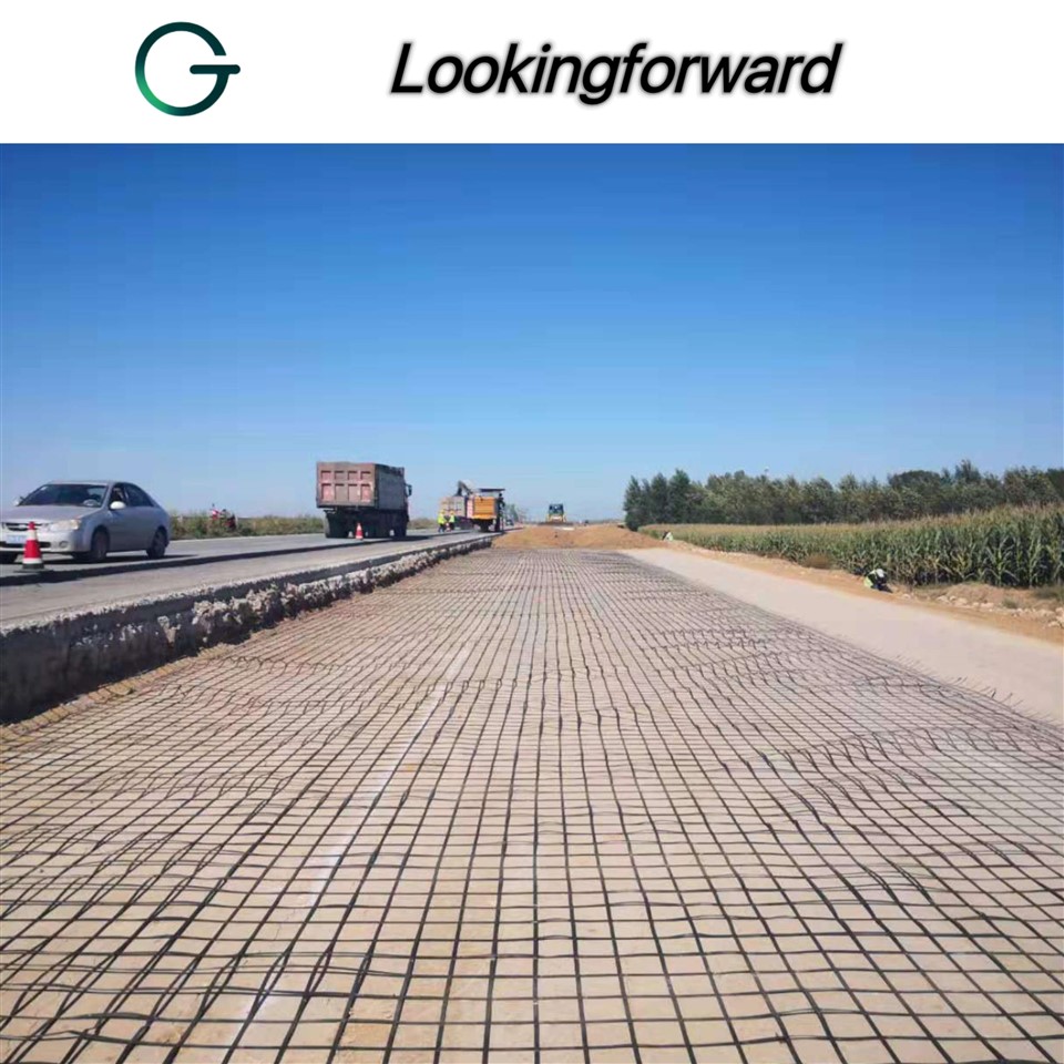Geogrid for Roads