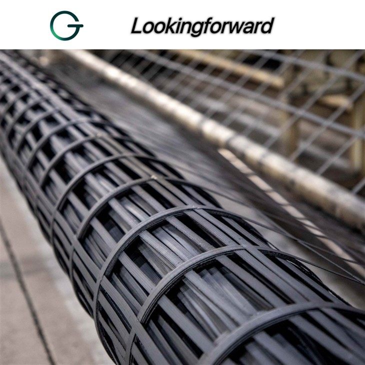 Geogrid for Roads