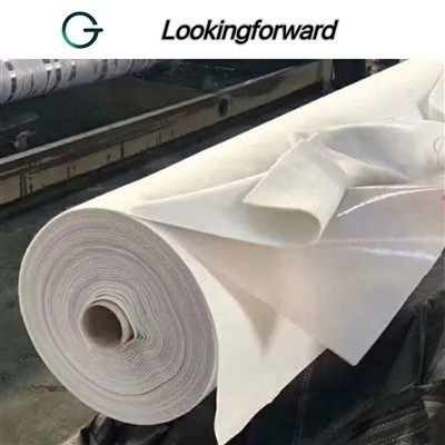 Geomembrane and Geotextile