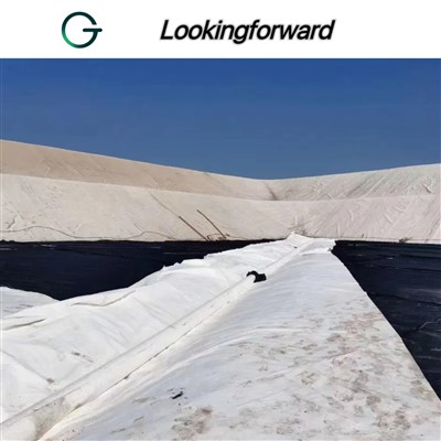 Geomembrane and Geotextile