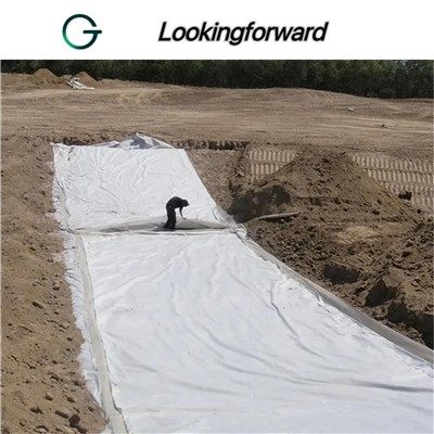 Geomembrane and Geotextile