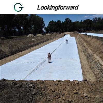 LDPE Geomembrane