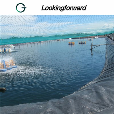 HDPE Geomembrane