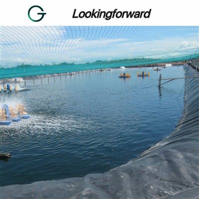 HDPE Geomembrane