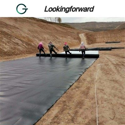 HDPE Geomembrane