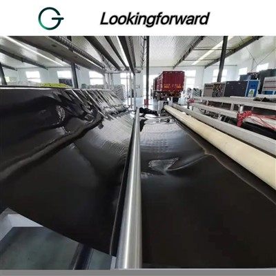 HDPE Geomembrane