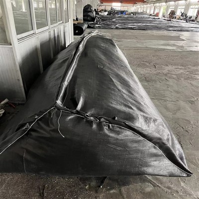 Geotube Bag