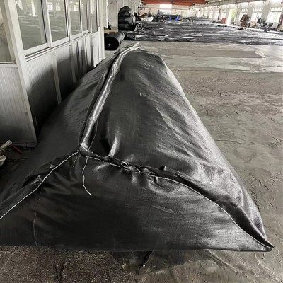 Geotube Bag