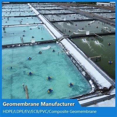 Waterproof Geomembrane