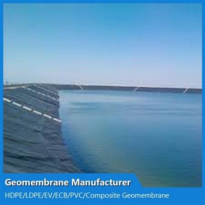 Textured Geomembrane