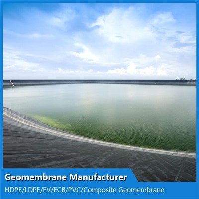 Textured Geomembrane