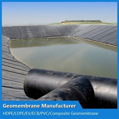 Pvc Geomembrane
