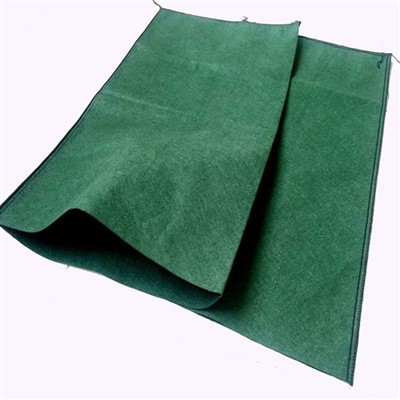 Geotextile bag