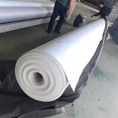 Needle Punched Geotextile