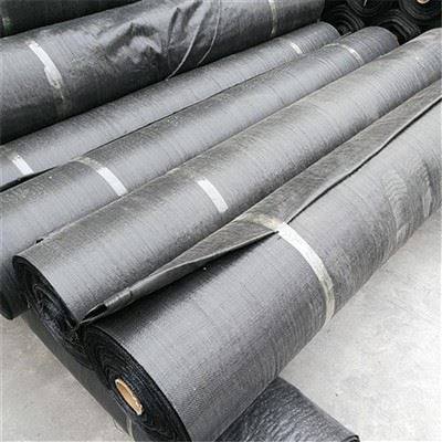PET Woven Geotextile