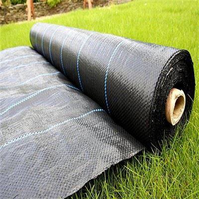 PET Woven Geotextile