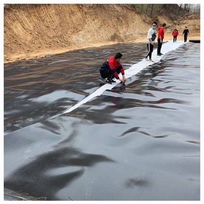 HDPE Geomembrane Liner