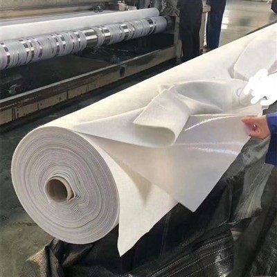 Composite Geomembrane