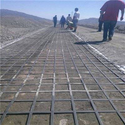 Steel Plastic Geogrid