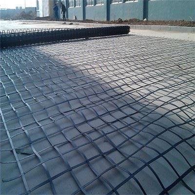 Steel Plastic Geogrid