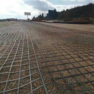 Steel Plastic Geogrid